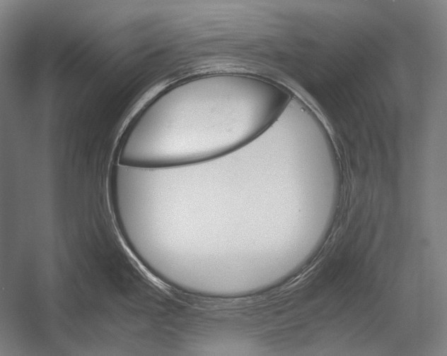 X0000052561293200507221426