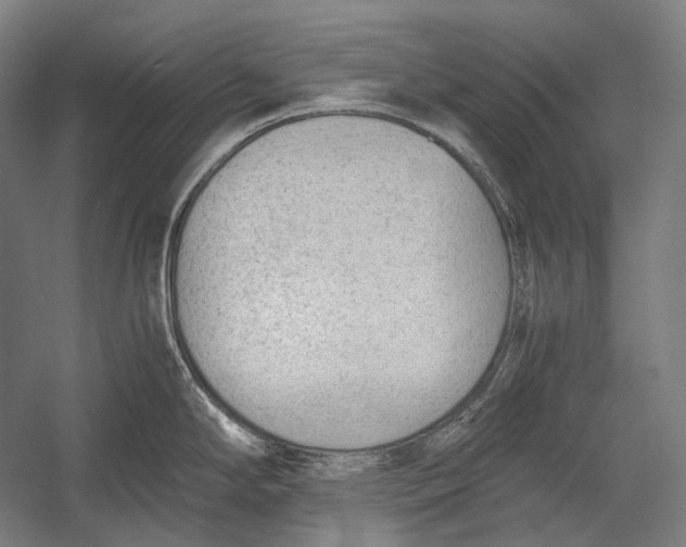 X0000052561294200507221426