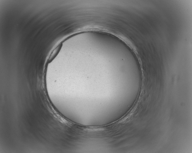 X0000052561296200507221426