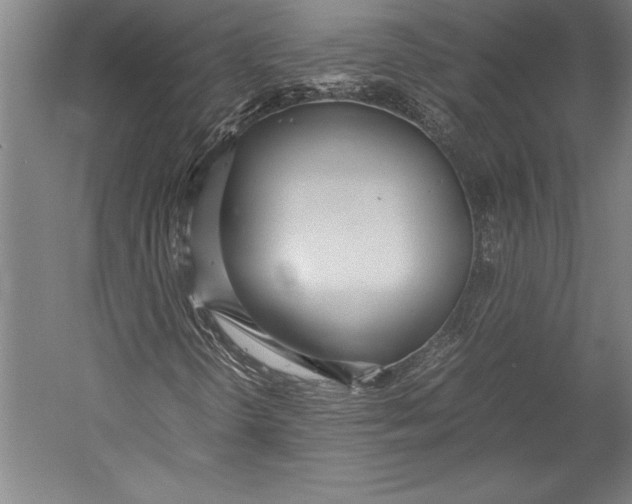 X0000052561298200507221425