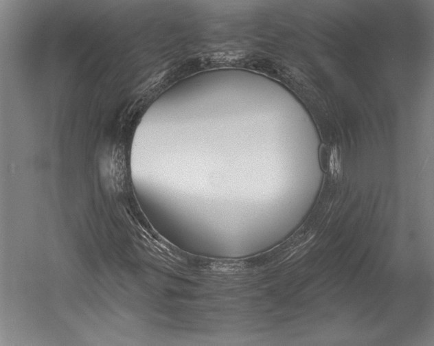 X0000052561299200507221425