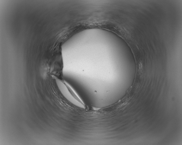 X0000052561300200507221425