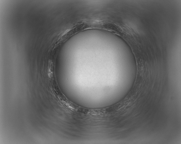X0000052561301200507221425