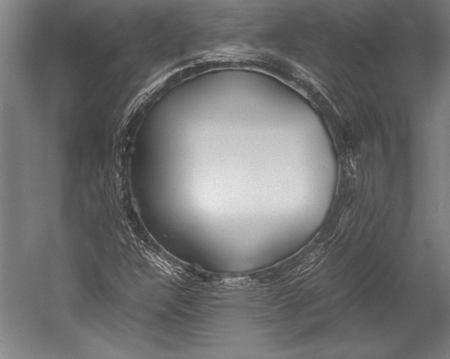 X0000052561304200507221425
