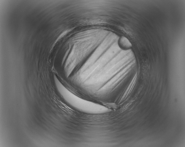 X0000052561306200507221425