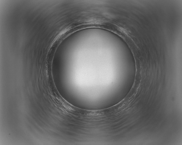 X0000052561307200507221425