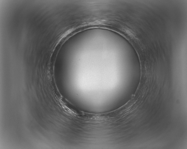 X0000052561308200507221425
