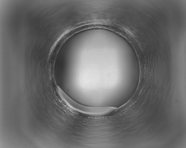 X0000052561310200507221425