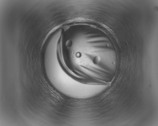 X0000052561314200507221425