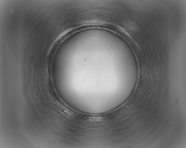 X0000052561315200507221425