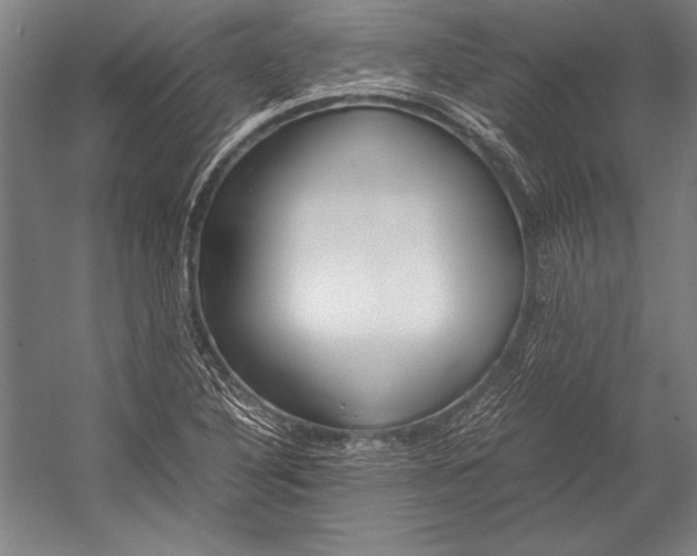 X0000052561316200507221425