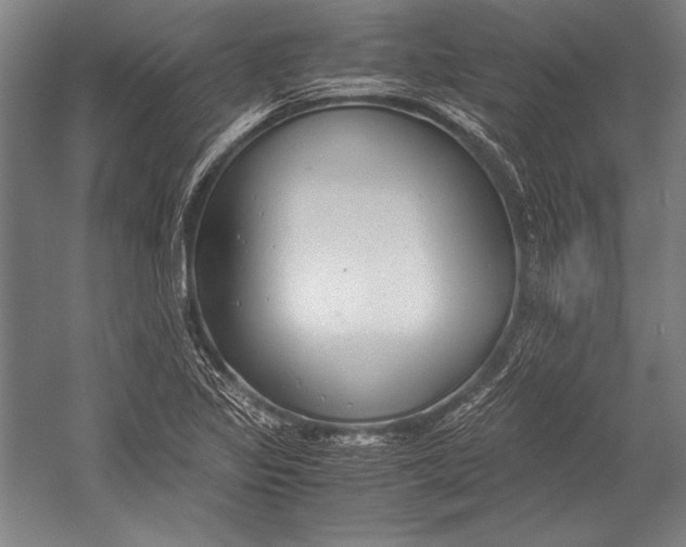 X0000052561317200507221425