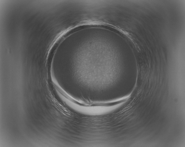 X0000052561319200507221425