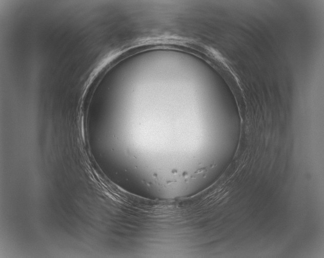 X0000052561320200507221425
