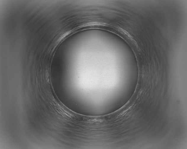 X0000052561321200507221425