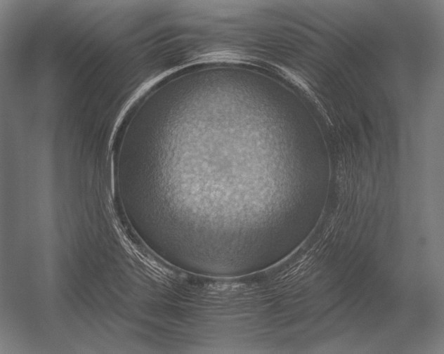 X0000052561323200507221425