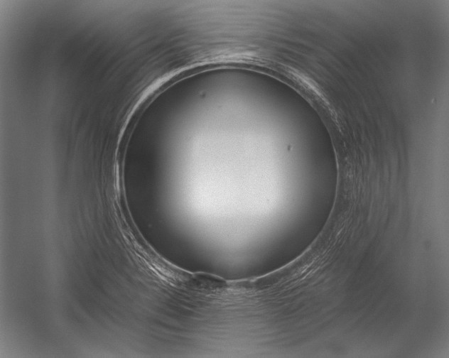 X0000052561324200507221425