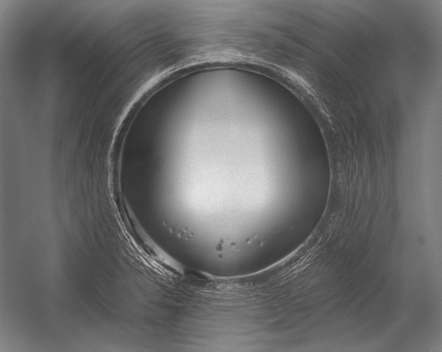 X0000052561326200507221425