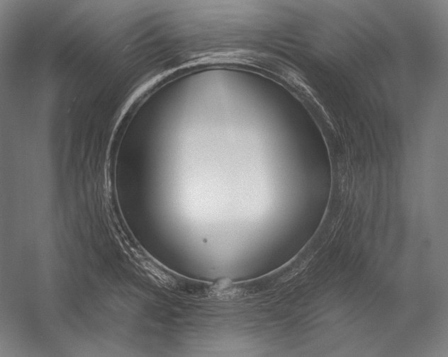 X0000052561328200507221425