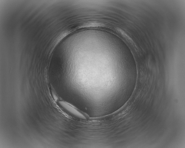 X0000052561329200507221425