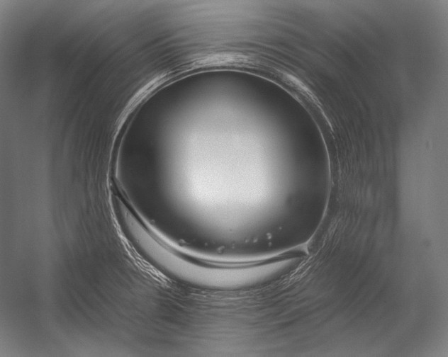X0000052561330200507221425