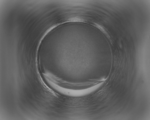 X0000052561331200507221425
