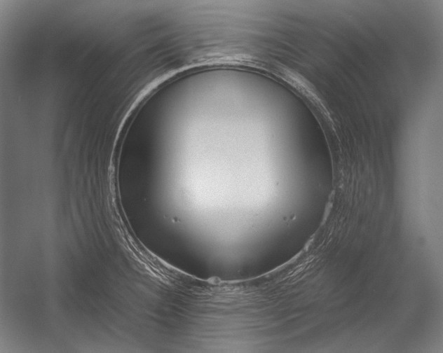X0000052561332200507221426