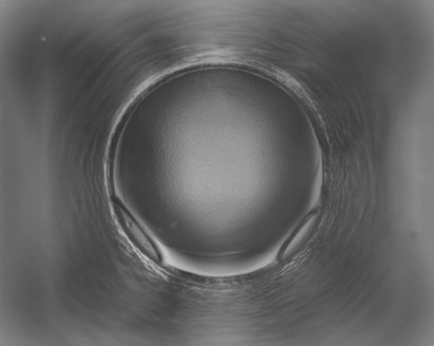 X0000052561334200507221426