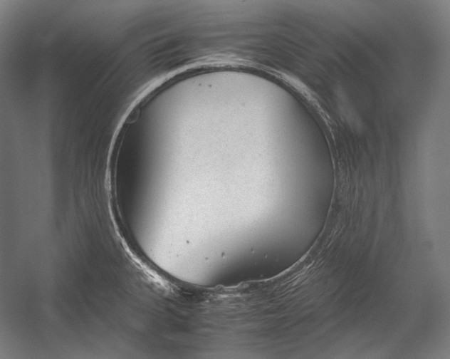 X0000052561335200507221426