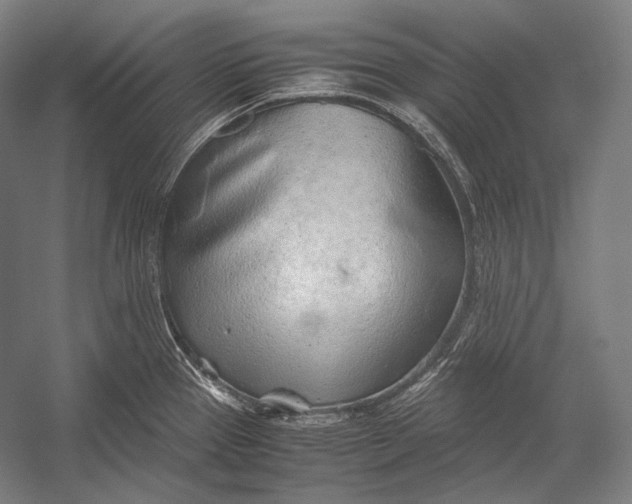 X0000052561337200507221426