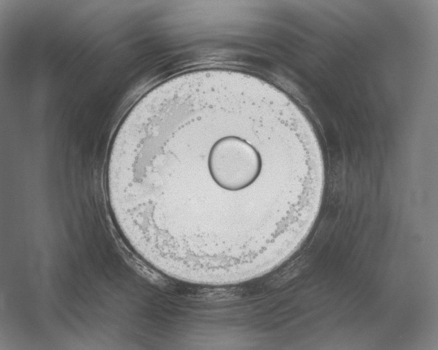 X0000052561338200507221426