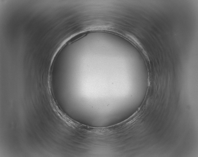 X0000052561340200507221426