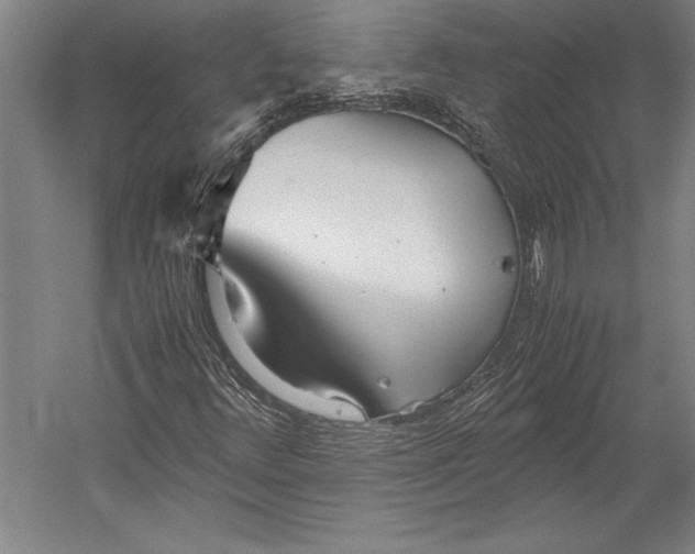 X0000052561348200507221425