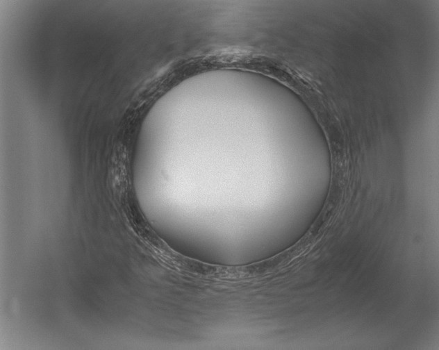 X0000052561349200507221425