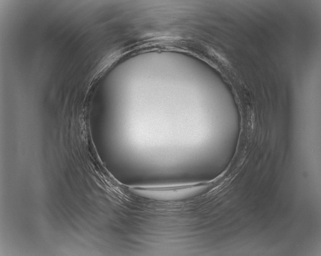 X0000052561354200507221425