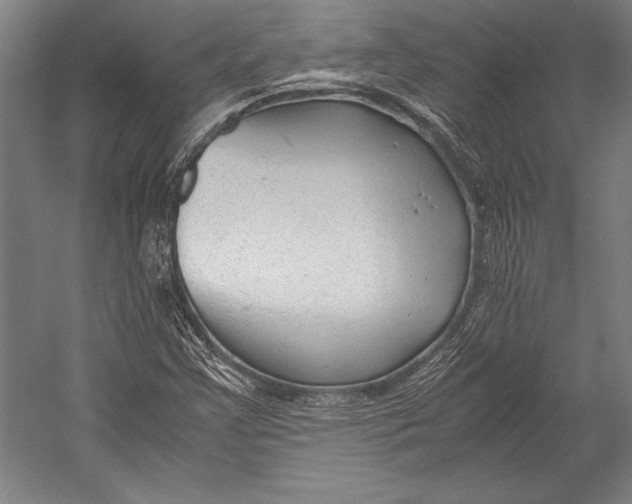 X0000052561355200507221425