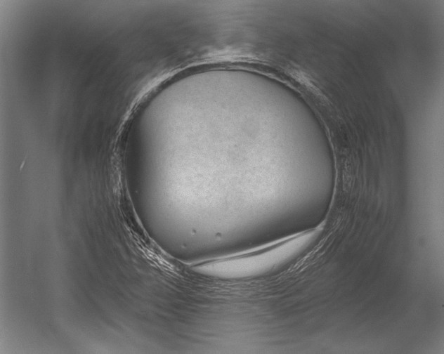X0000052561358200507221425