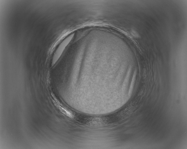 X0000052561359200507221425