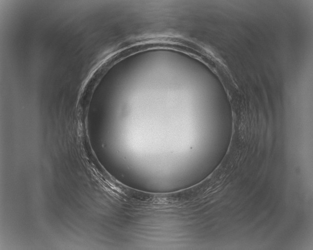 X0000052561360200507221425