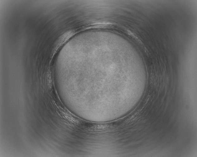 X0000052561362200507221425