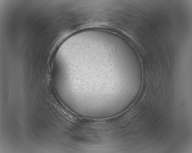 X0000052561363200507221425