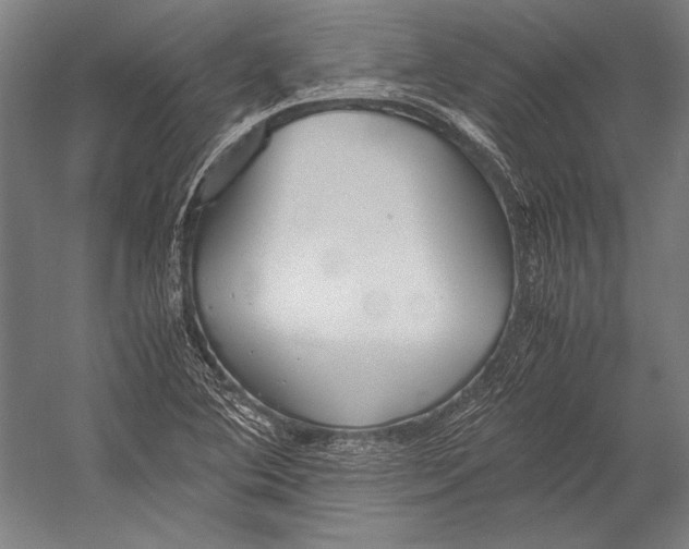 X0000052561364200507221425