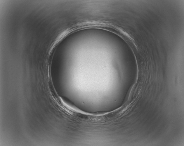 X0000052561365200507221425