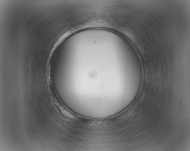 X0000052561366200507221425