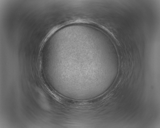 X0000052561367200507221425