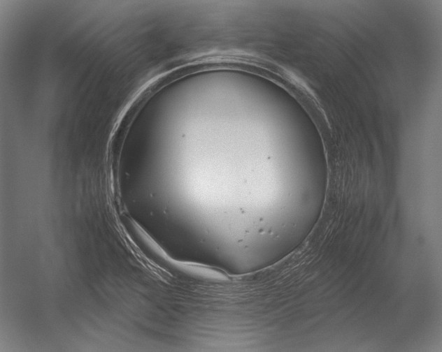 X0000052561368200507221425