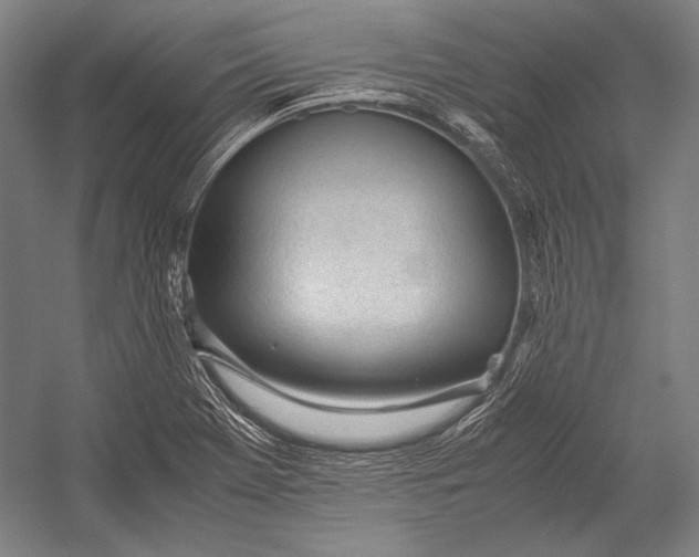 X0000052561369200507221424