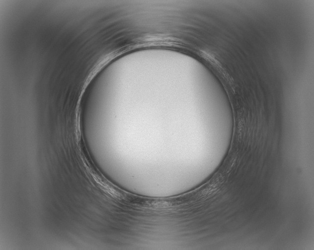 X0000052561370200507221424