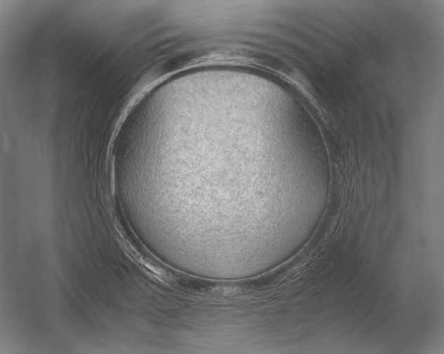 X0000052561371200507221424