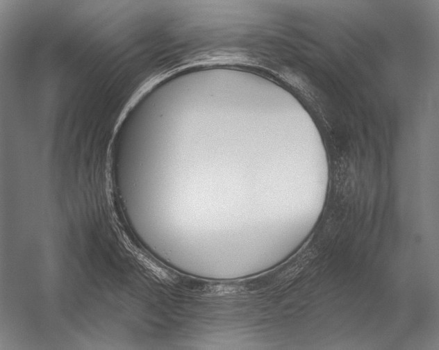 X0000052561374200507221424